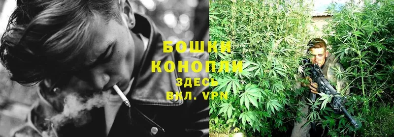 хочу наркоту  Подольск  Бошки Шишки SATIVA & INDICA 